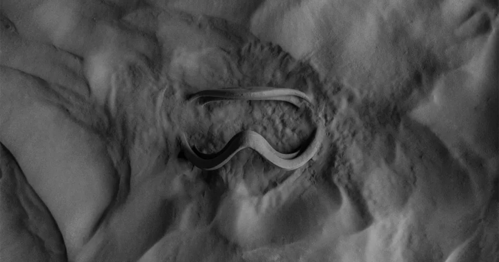 Selective Laser Sintering (SLS) 3D printed nylon prototype - UK service